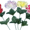 TIGE OEILLET COULEURS ASSOSRTIES