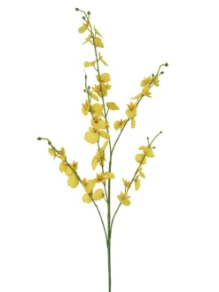 TIGE ONCIDIUM H96CM FLEURS JAUNE