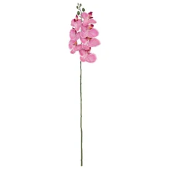 TIGE ORCHIDEE GISELE H.95CM