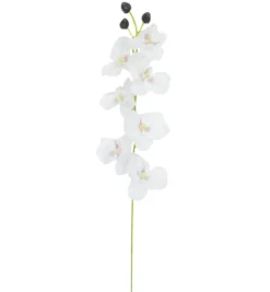 TIGE ORCHIDEES 7 FLEURS H.65CM BLANC