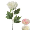 TIGE PIVOINE