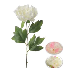 TIGE PIVOINE