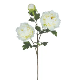 TIGE PIVOINE 2 FLEURS ET 1 BOURGEON H.70CM BLANC