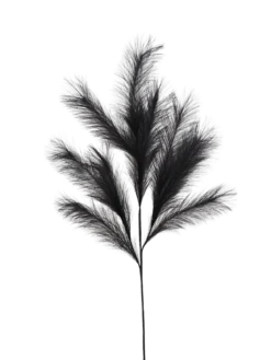 TIGE PLUMEAU H.110CM NOIR