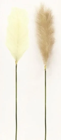 TIGE PLUMEAU PAMPA H.105CM