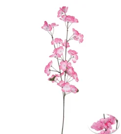 TIGE POMMIER H.75CM ROSE