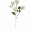 TIGE POMPONS 4 FLEURS H.75CM BLANC