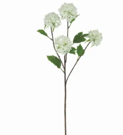 TIGE POMPONS 4 FLEURS H.75CM BLANC