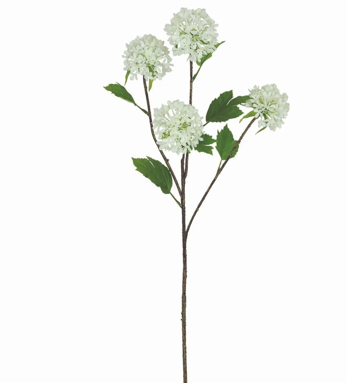 TIGE POMPONS 4 FLEURS H.75CM BLANC