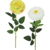 TIGE RENONCULE H.70CM BLANC ET VERT