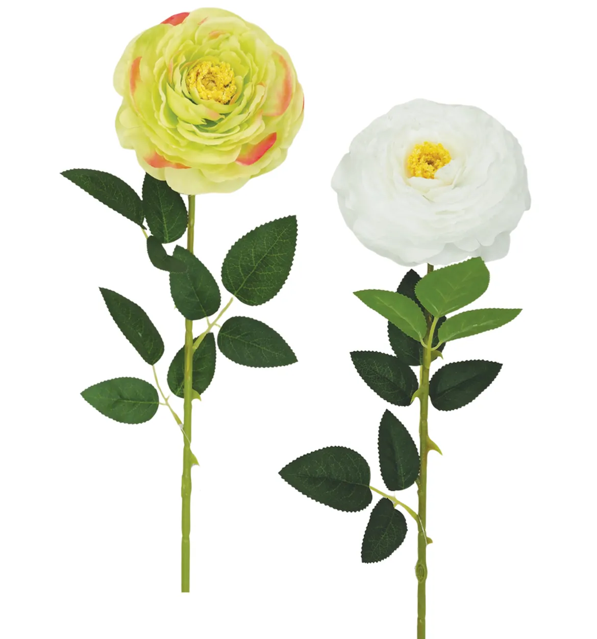 TIGE RENONCULE H.70CM BLANC ET VERT