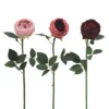 TIGE ROSE BOULE H.72CM BORDEAUX MAUVE ROSE