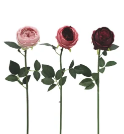 TIGE ROSE BOULE H.72CM BORDEAUX MAUVE ROSE