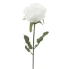 TIGE ROSE H.72CM BLANC