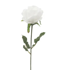 TIGE ROSE H.72CM BLANC