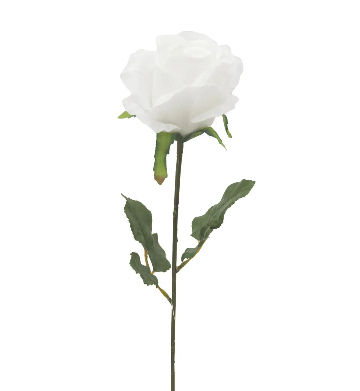 TIGE ROSE H.72CM BLANC