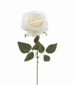 TIGE ROSE H.63CM BLANC