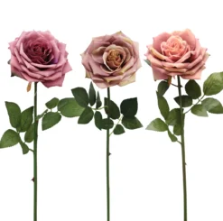 TIGE ROSE H.72CM CHARME