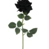 TIGE ROSE H60CM NOIR
