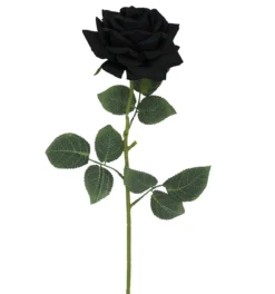 TIGE ROSE H60CM NOIR