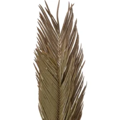 TIGES CYCAS PALM X3 PIECES ORIGINES H.100CM