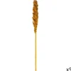 TIGES SECHEES NATUREL OCRE