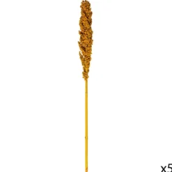TIGES SECHEES NATUREL OCRE