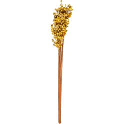 TIGES SECHEES NATUREL OCRE