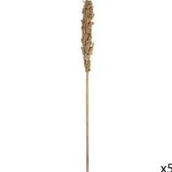 TIGES SECHEES NATUREL OCRE