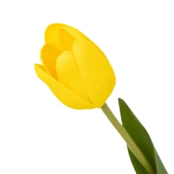 TIGE TULIPE MARTINE H.48CM