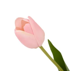 TIGE TULIPE MARTINE H.48CM