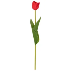 TIGE TULIPE MARTINE H.48CM