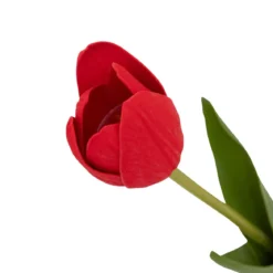 TIGE TULIPE MARTINE H.48CM