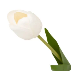 TIGE TULIPE MARTINE H.48CM