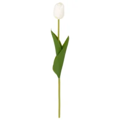 TIGE TULIPE MARTINE H.48CM
