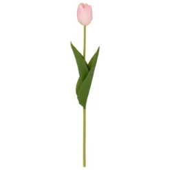 TIGE TULIPE MARTINE H.48CM