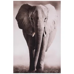 TOILE IMPRIMEE ANIMAUX D.75X115CM
