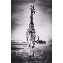 TOILE IMPRIMEE ANIMAUX D.75X115CM