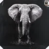 TOILE IMPRIMEE ELEPHANT D.100X100CM