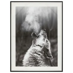 TOILE IMPRIMEE ENCADREE LOUP TALA D.60X80CM