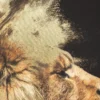 TOILE IMPRIMEE LION 60X90CM