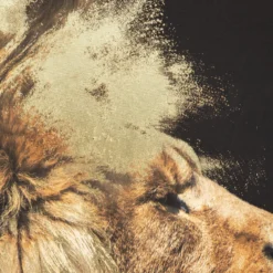 TOILE IMPRIMEE LION 60X90CM