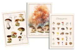 TORCHON CHAMPIGNON MULTICOLORE 50X70