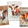 TORCHON CLAUDETTE MULTICOLORE 50X70