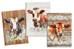 TORCHON CLAUDETTE MULTICOLORE 50X70