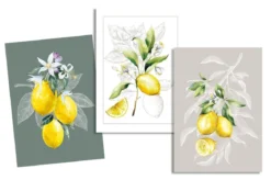 TORCHON LEMON JAUNE 50X70CM