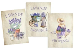 TORCHON VALENSOLE NATUREL 50X70CM