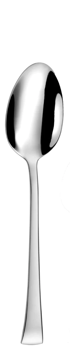 VARSOVIE CUILLERE A SOUPE INOX