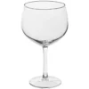 VERRE DEGUSTATION X2 BOURGOGNE 65CL