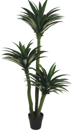 YUCCA 3 TRONCS 170 FEUILLES POT H.160CM